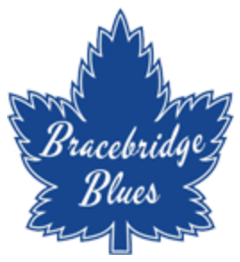 Bracebridge Blues 2014-Pres Primary Logo iron on heat transfer